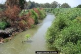 Israel recuperará el Jordán con agua del mar de Galilea Israel recuperará el Jordán con agua del mar de Galilea